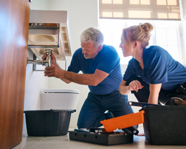 Best Emergency Plumber  in Northview, MI